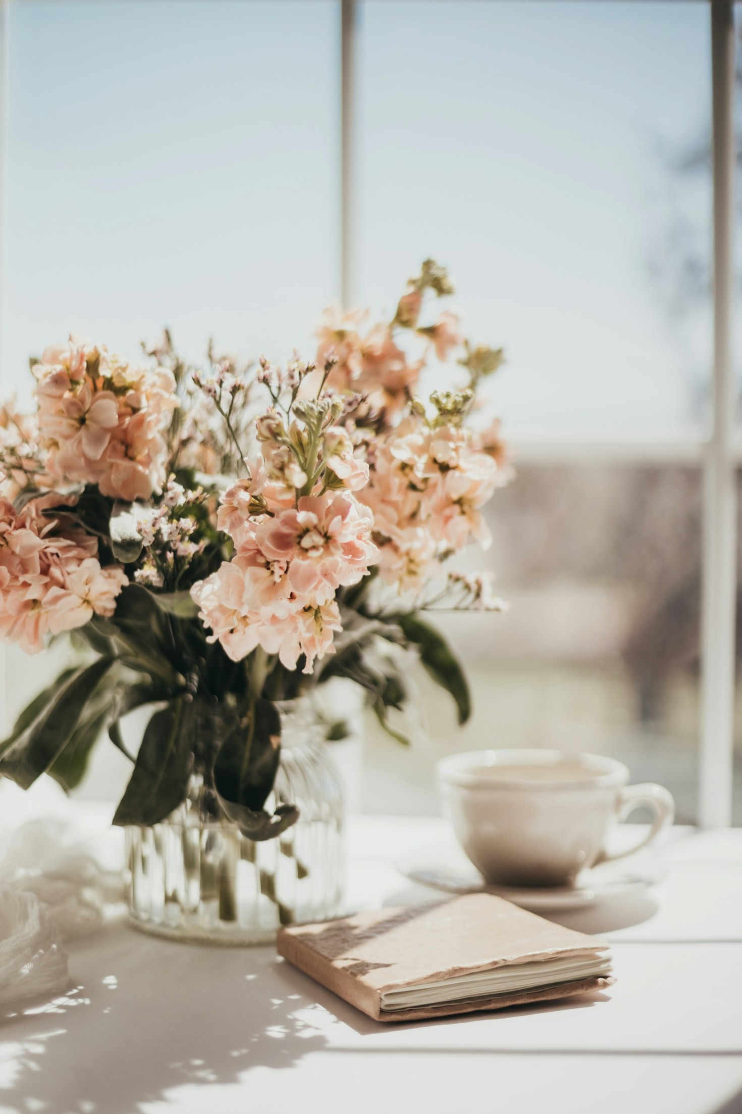 A Collection of Personal Milestones and Memoirs